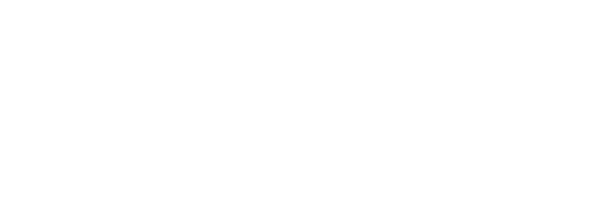 GovTech WISE